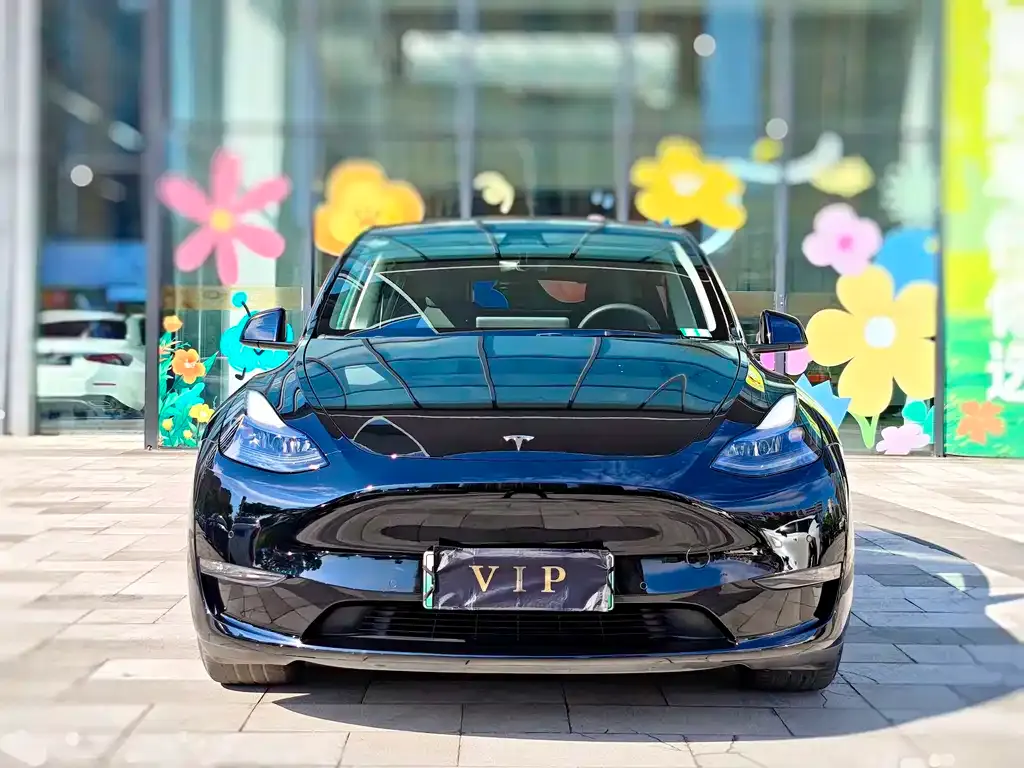 Tesla Model Y 2021 из CN, фото 2