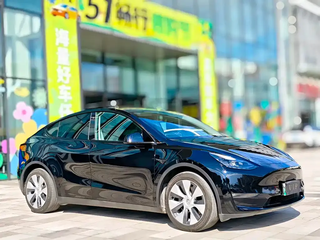 Tesla Model Y 2021 из CN, фото 3