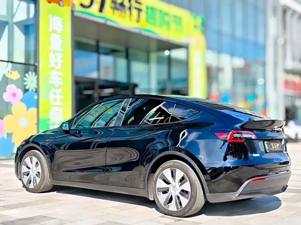 Tesla Model Y 2021 из CN, фото 4
