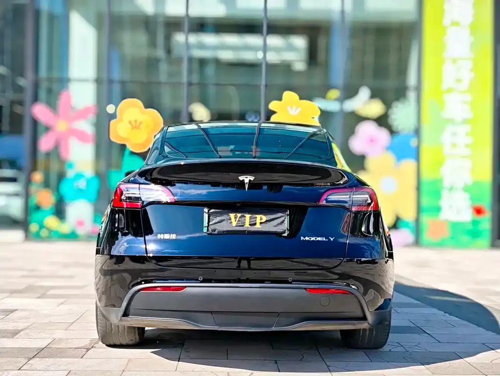Tesla Model Y 2021 из CN, фото 5