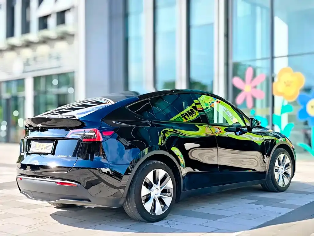 Tesla Model Y 2021 из CN, фото 6