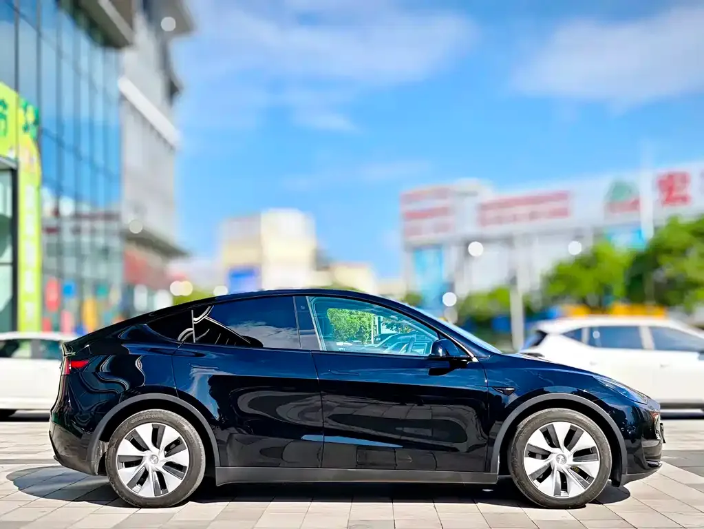 Tesla Model Y 2021 из CN, фото 7