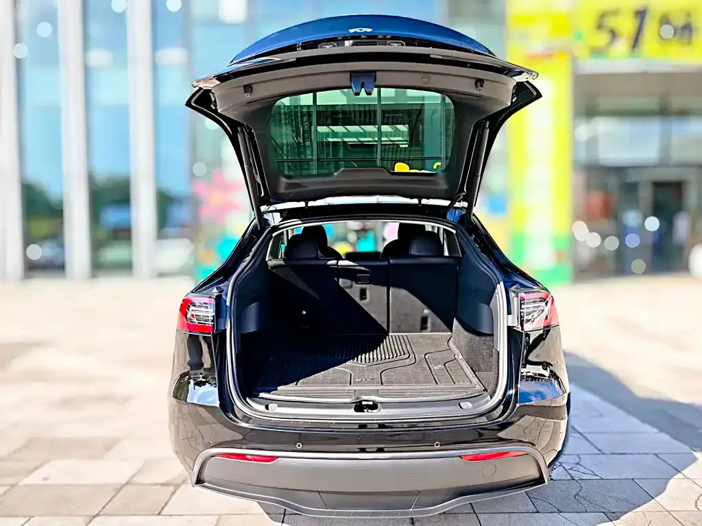 Tesla Model Y 2021 из CN, фото 9