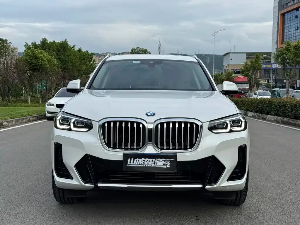 BMW X3 2023 из CN, фото 3