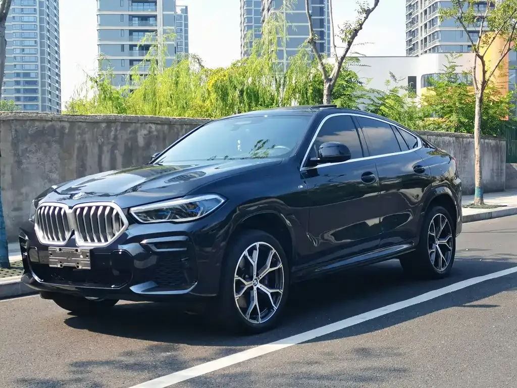 BMW X6 2022 из CN, фото 4
