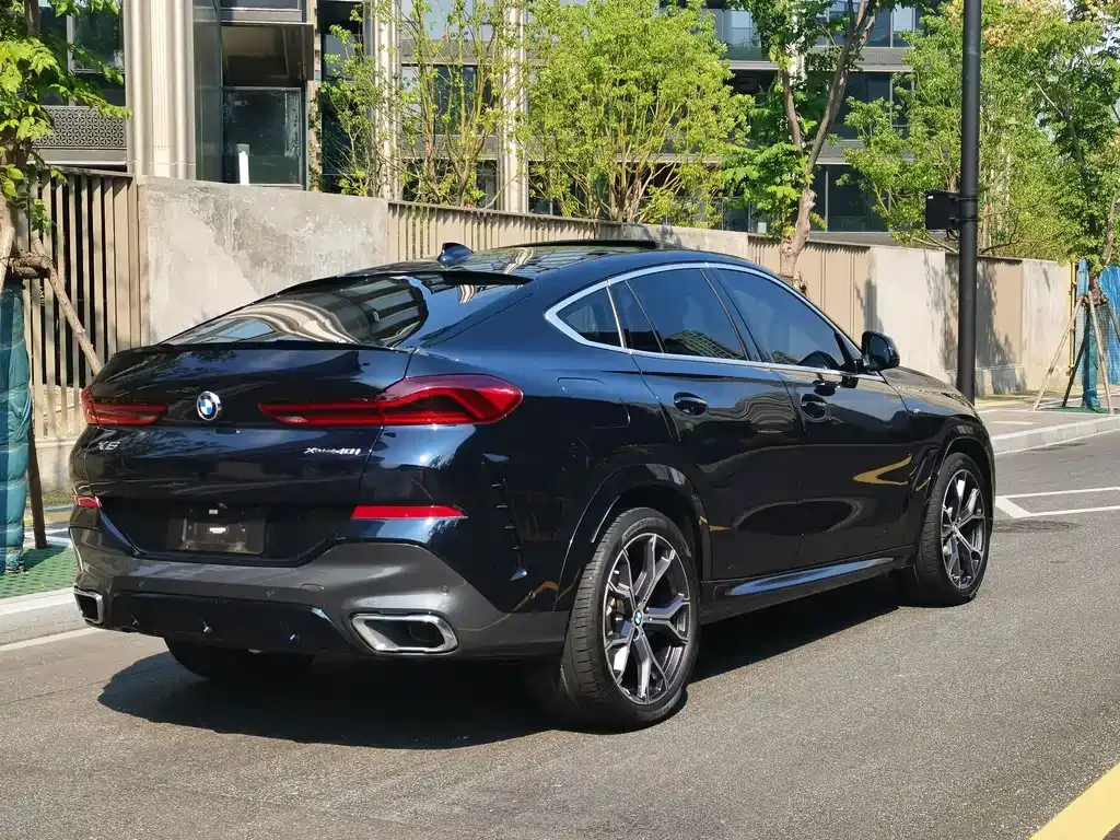BMW X6 2022 из CN, фото 6