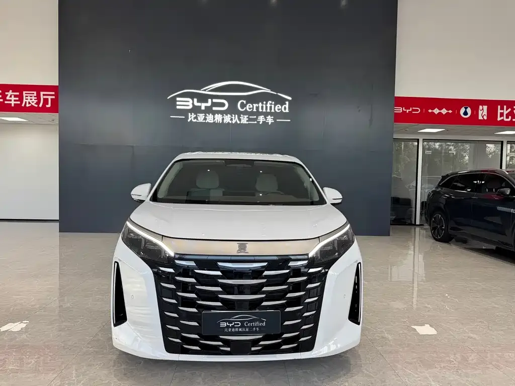 BYD Xia 2025 из CN, фото 1