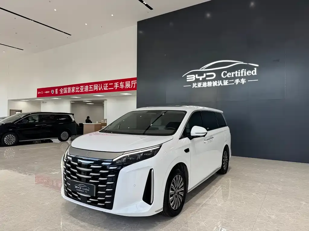 BYD Xia 2025 из CN, фото 3