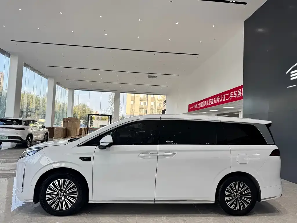 BYD Xia 2025 из CN, фото 4