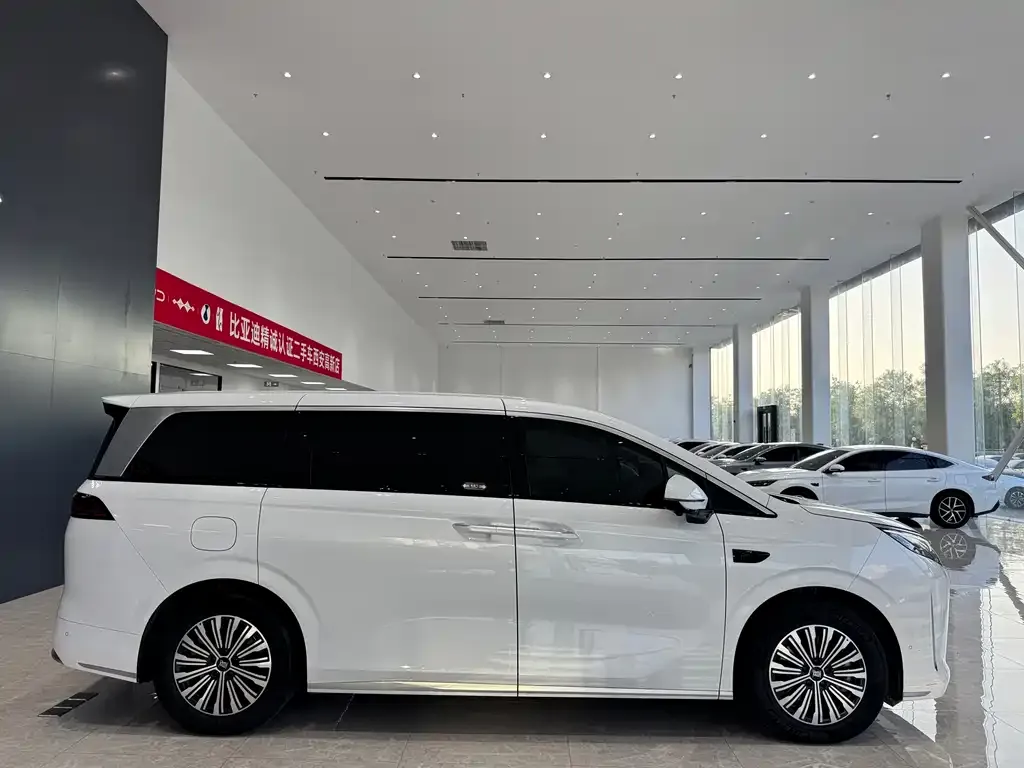 BYD Xia 2025 из CN, фото 5