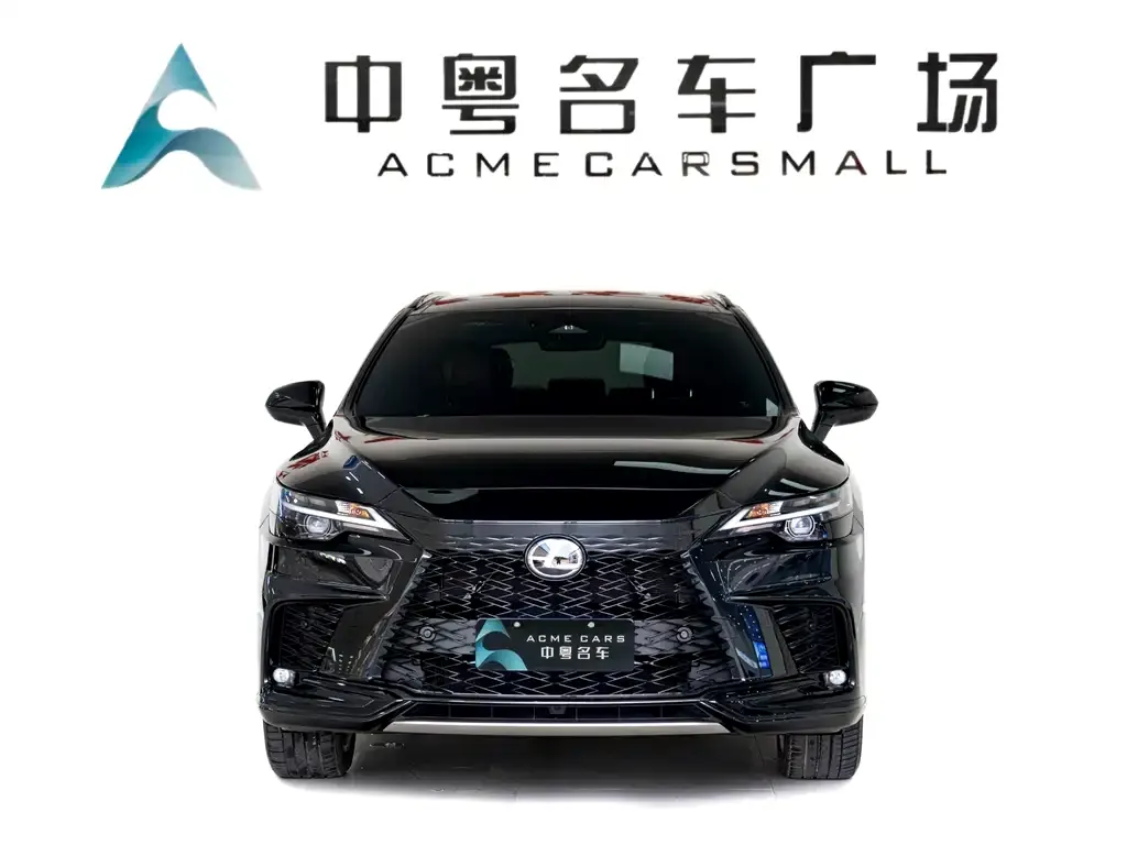 Lexus RX 2023 из CN, фото 2