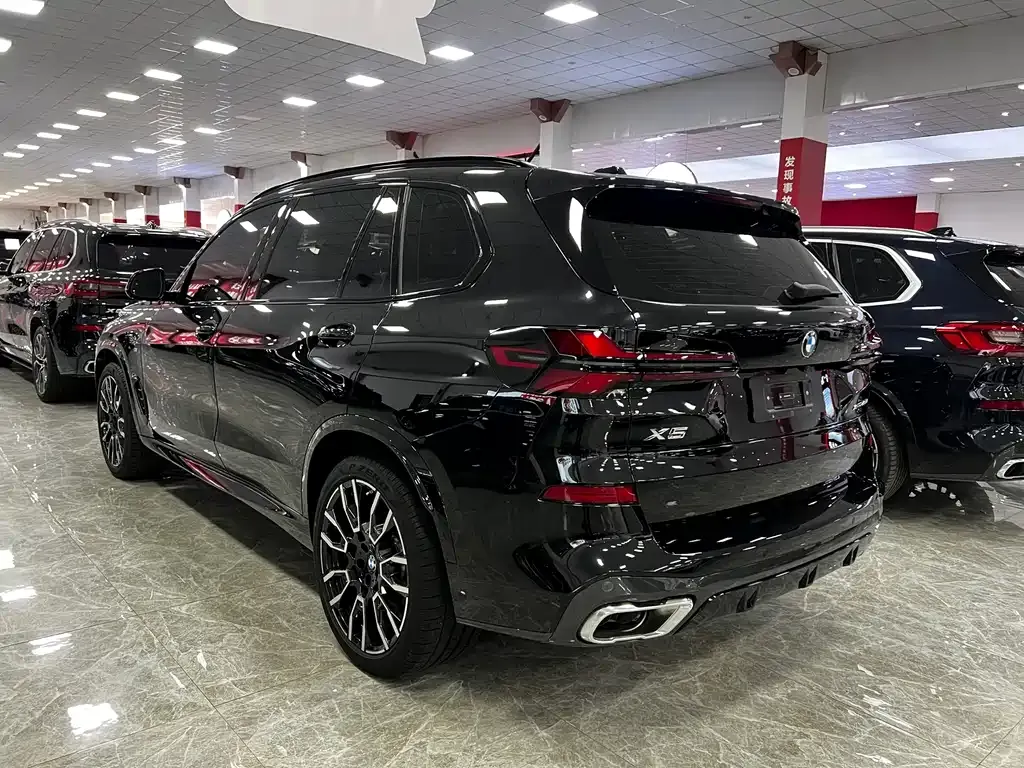 [object Object] X5 2025 из CN, фото 2