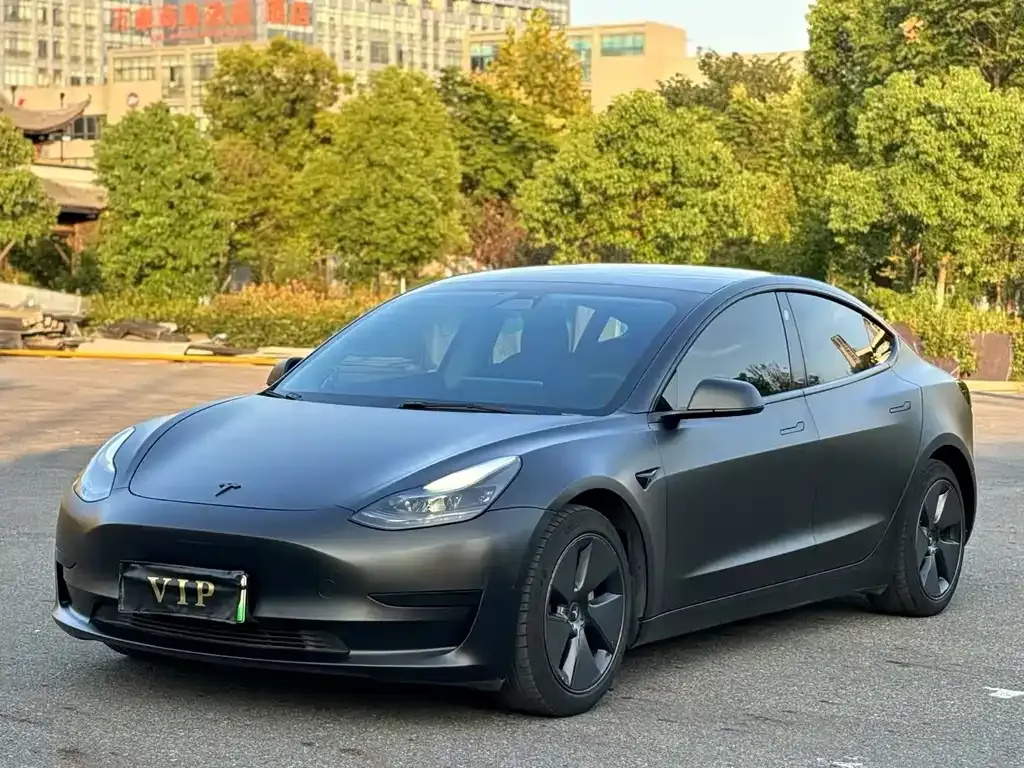 Tesla Model 3 2021 из CN, фото 1