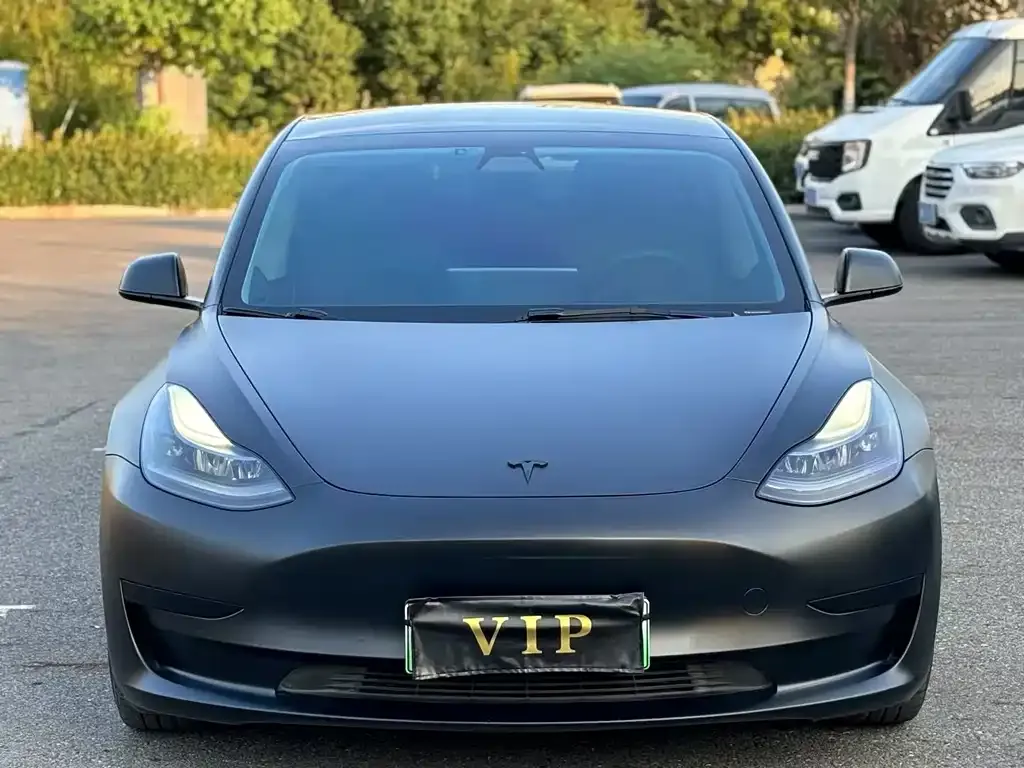 Tesla Model 3 2021 из CN, фото 2