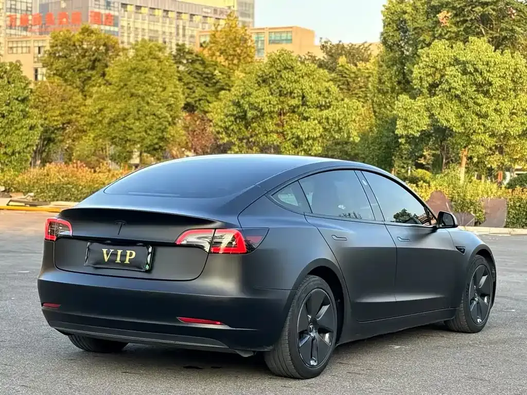 Tesla Model 3 2021 из CN, фото 4