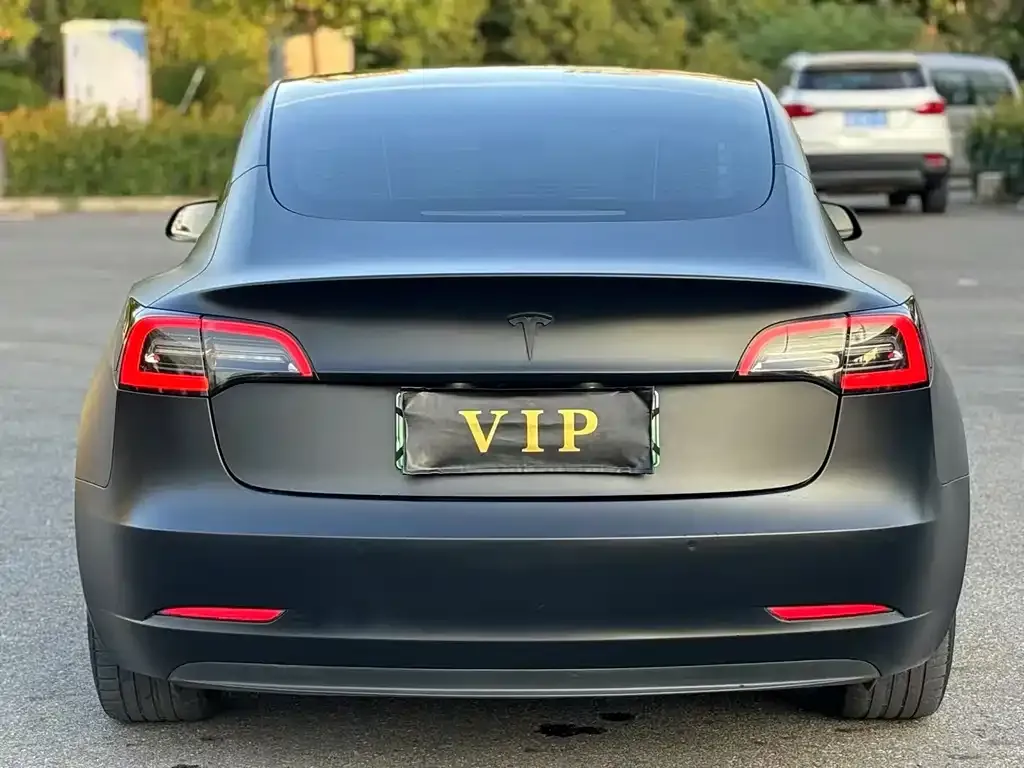 Tesla Model 3 2021 из CN, фото 5