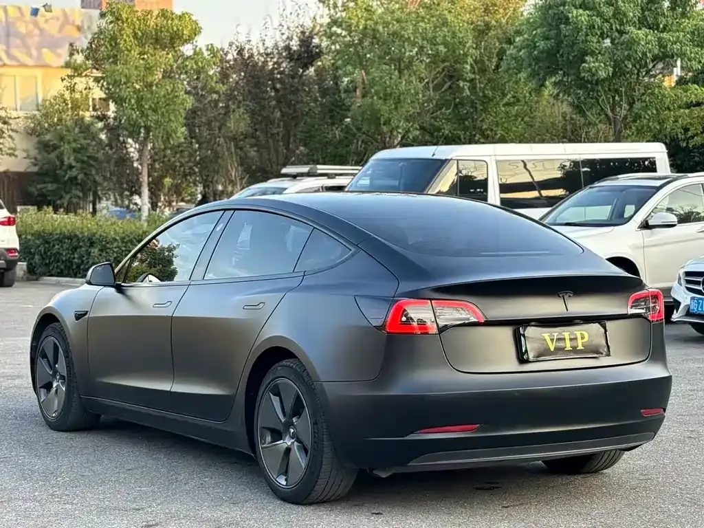 Tesla Model 3 2021 из CN, фото 6