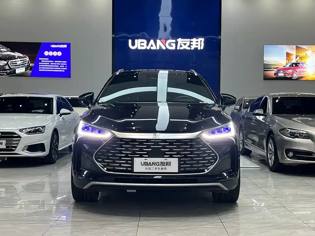 BYD Tang New Energy 2024 из CN, фото 2