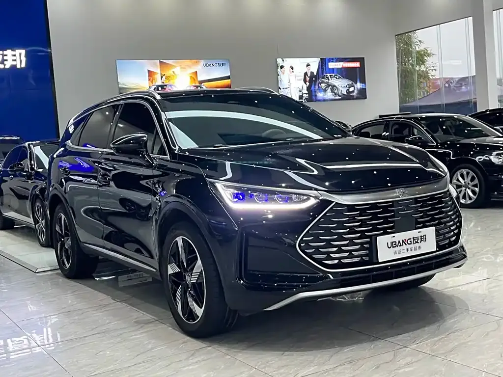 BYD Tang New Energy 2024 из CN, фото 3