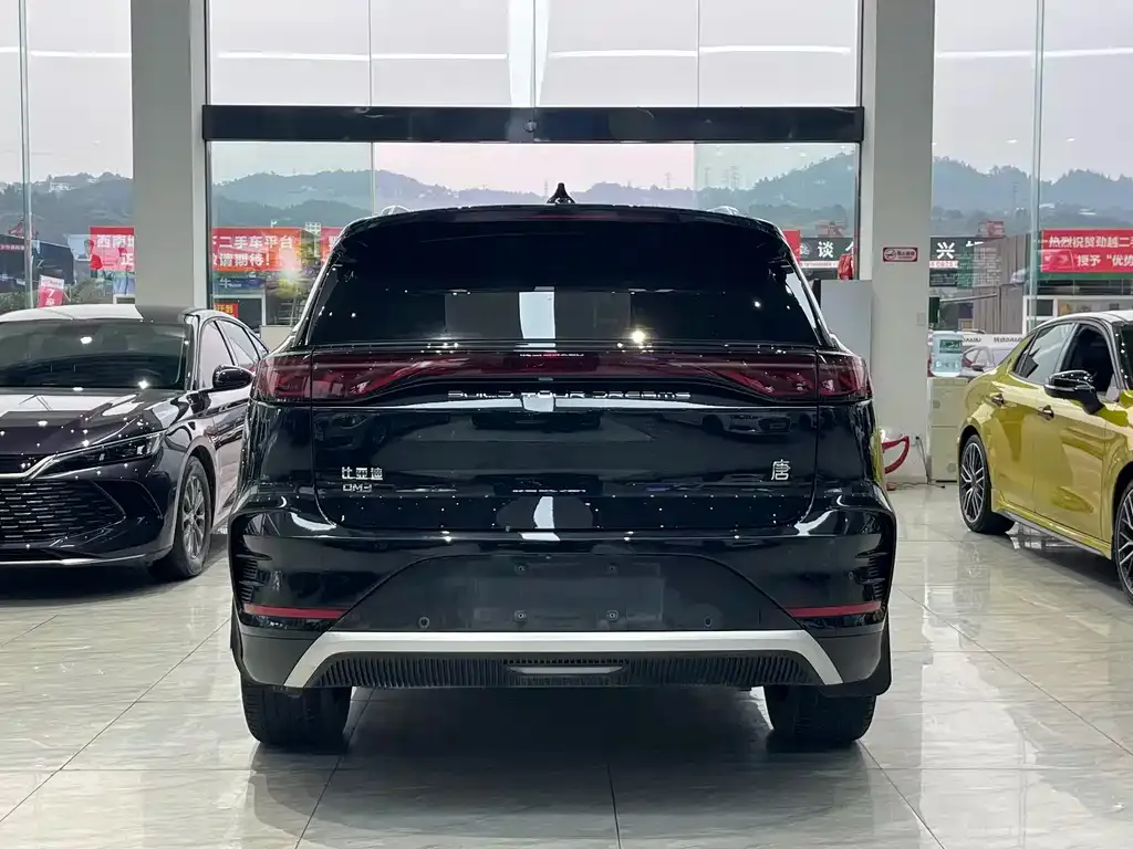 BYD Tang New Energy 2024 из CN, фото 5