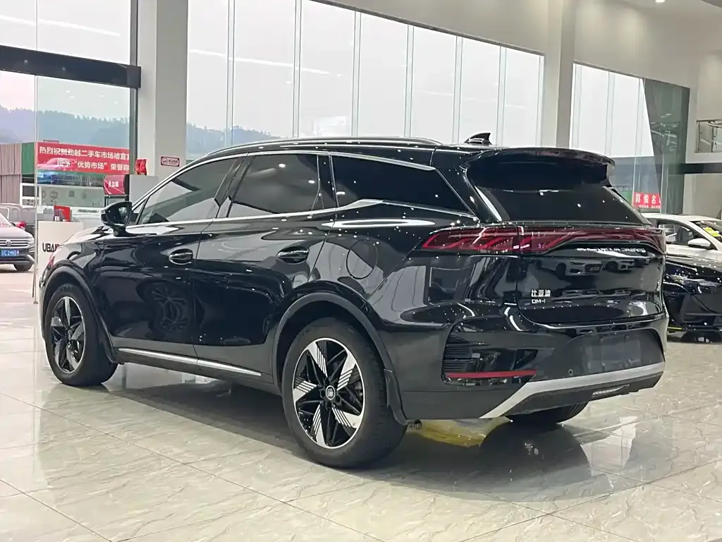 BYD Tang New Energy 2024 из CN, фото 6