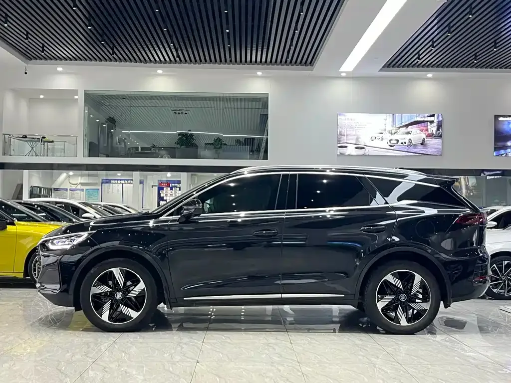 BYD Tang New Energy 2024 из CN, фото 7