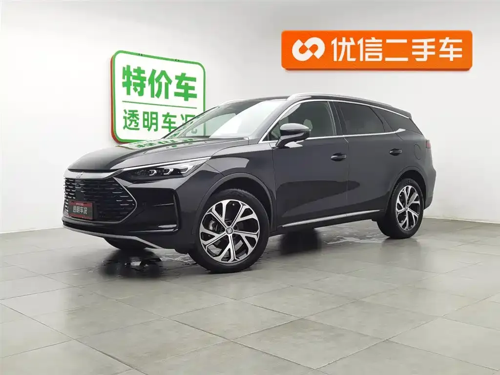 BYD Tang New Energy — фото 1
