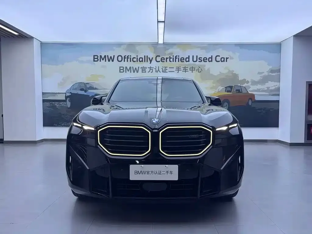 BMW XM 2024 из CN, фото 2