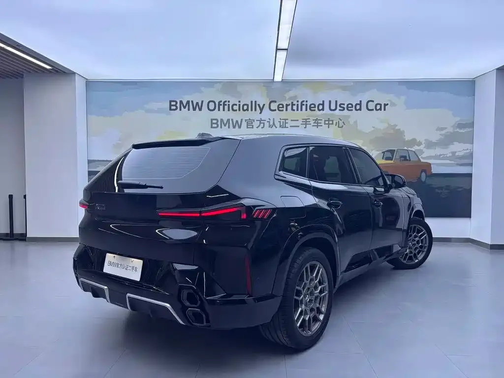 BMW XM 2024 из CN, фото 7