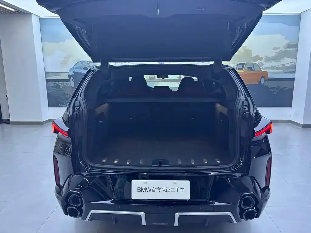 BMW XM 2024 из CN, фото 8