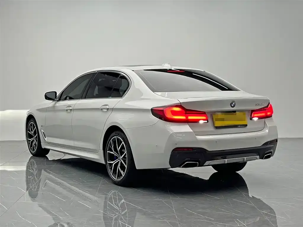 BMW 5 Series 2023 из CN, фото 4