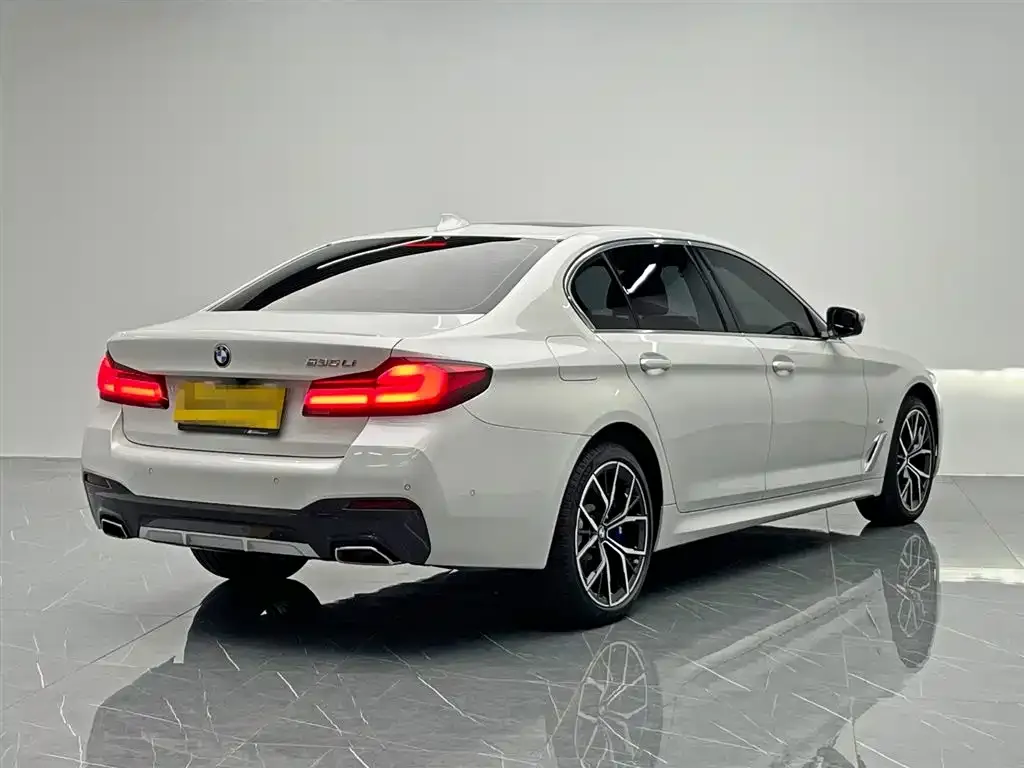 BMW 5 Series 2023 из CN, фото 6