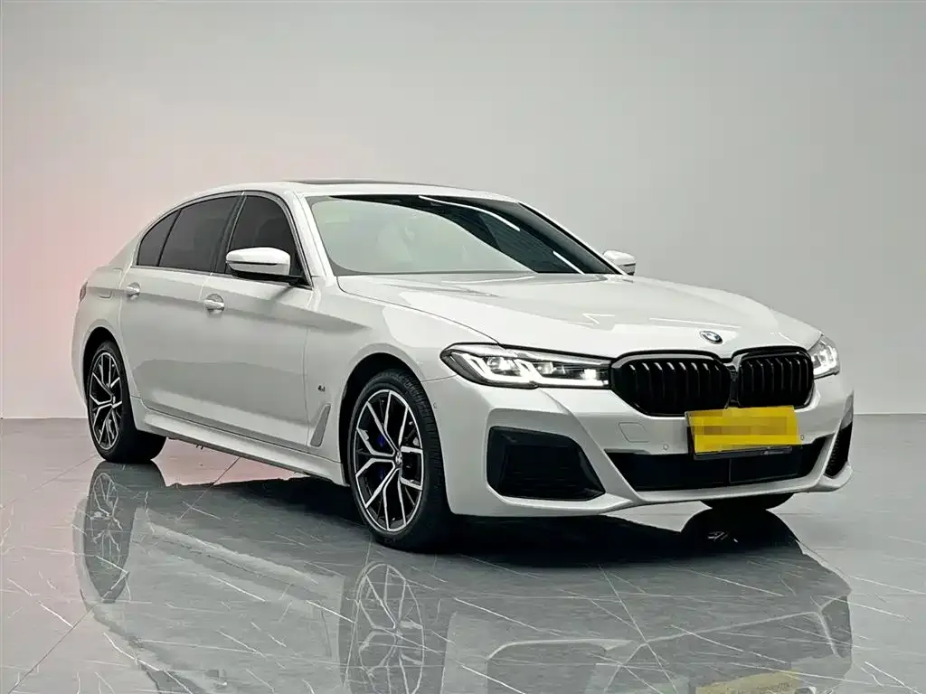 BMW 5 Series 2023 из CN, фото 8