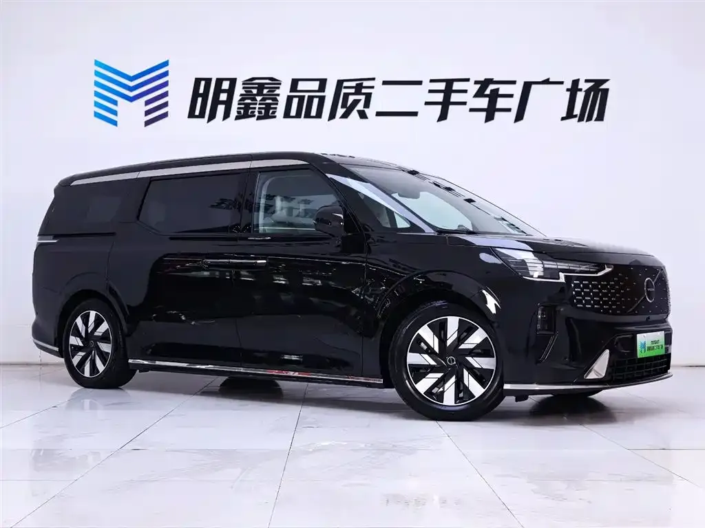 Volvo EM90 2024 из CN, фото 5