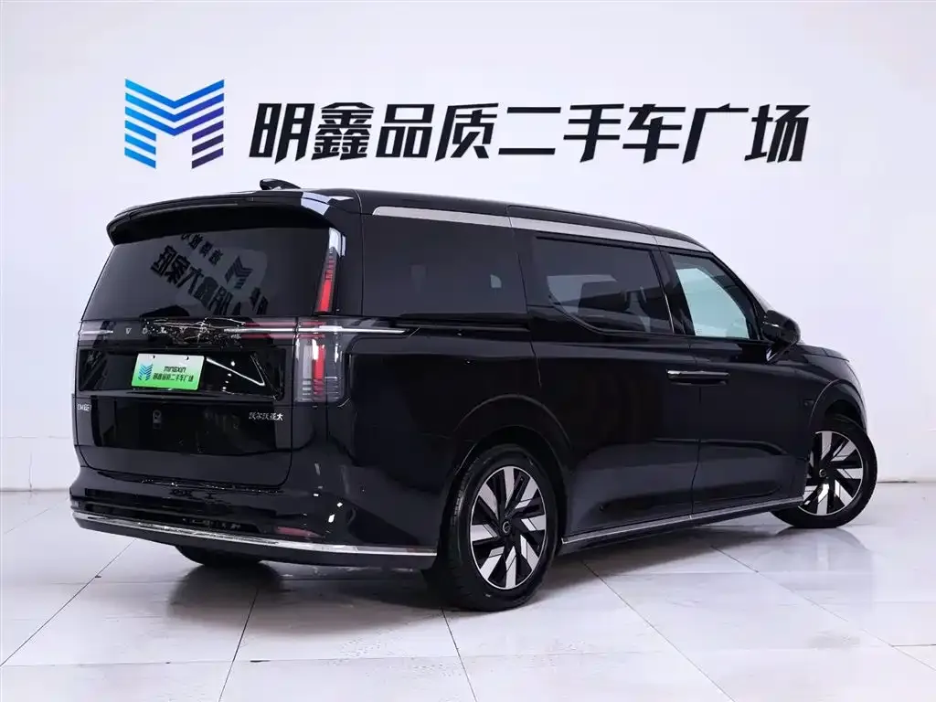 Volvo EM90 2024 из CN, фото 7