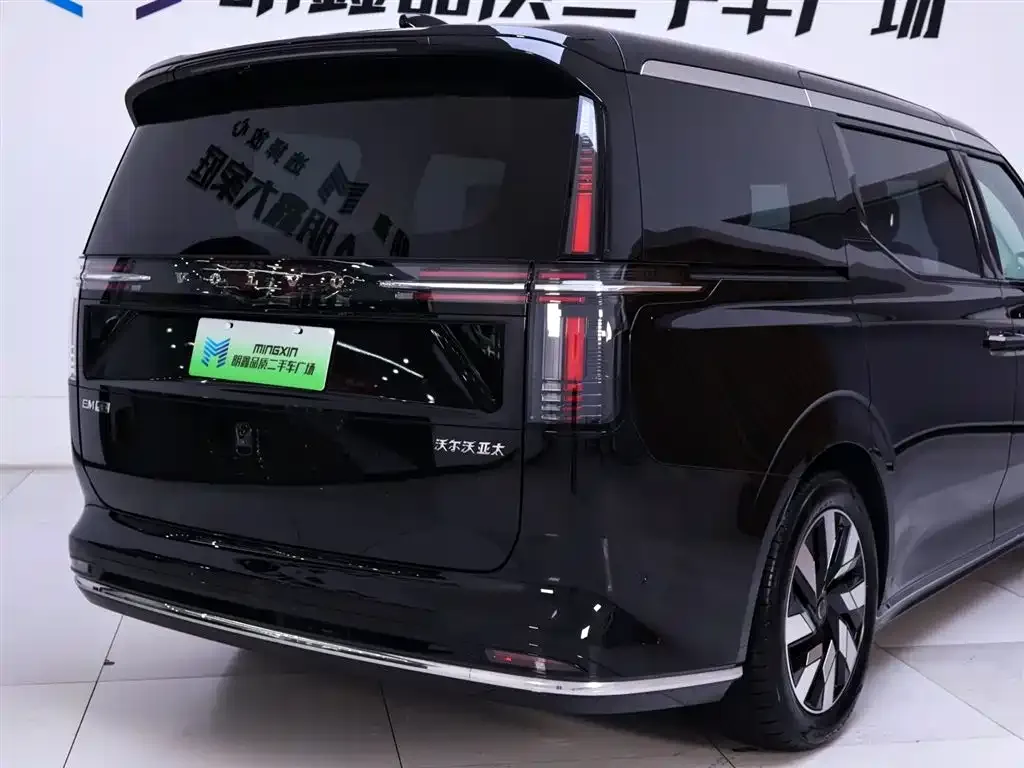 Volvo EM90 2024 из CN, фото 8