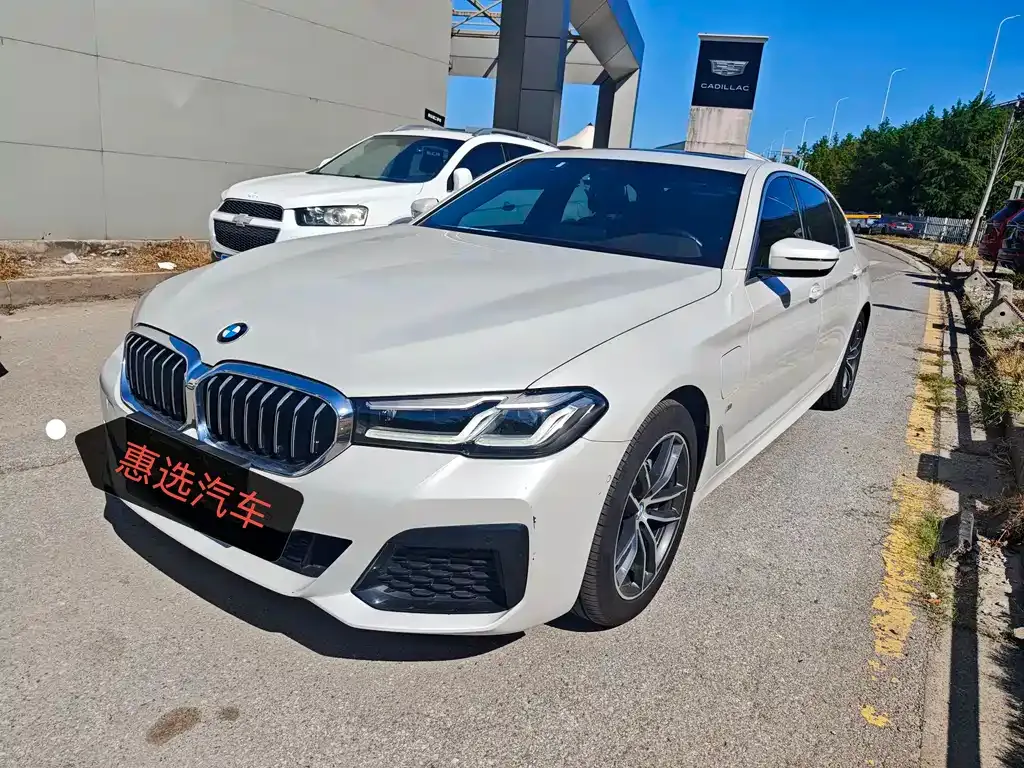 BMW 5 Series New Energy 2021 из CN, фото 1