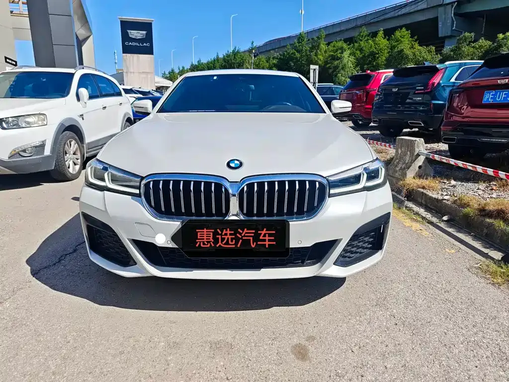 BMW 5 Series New Energy 2021 из CN, фото 2