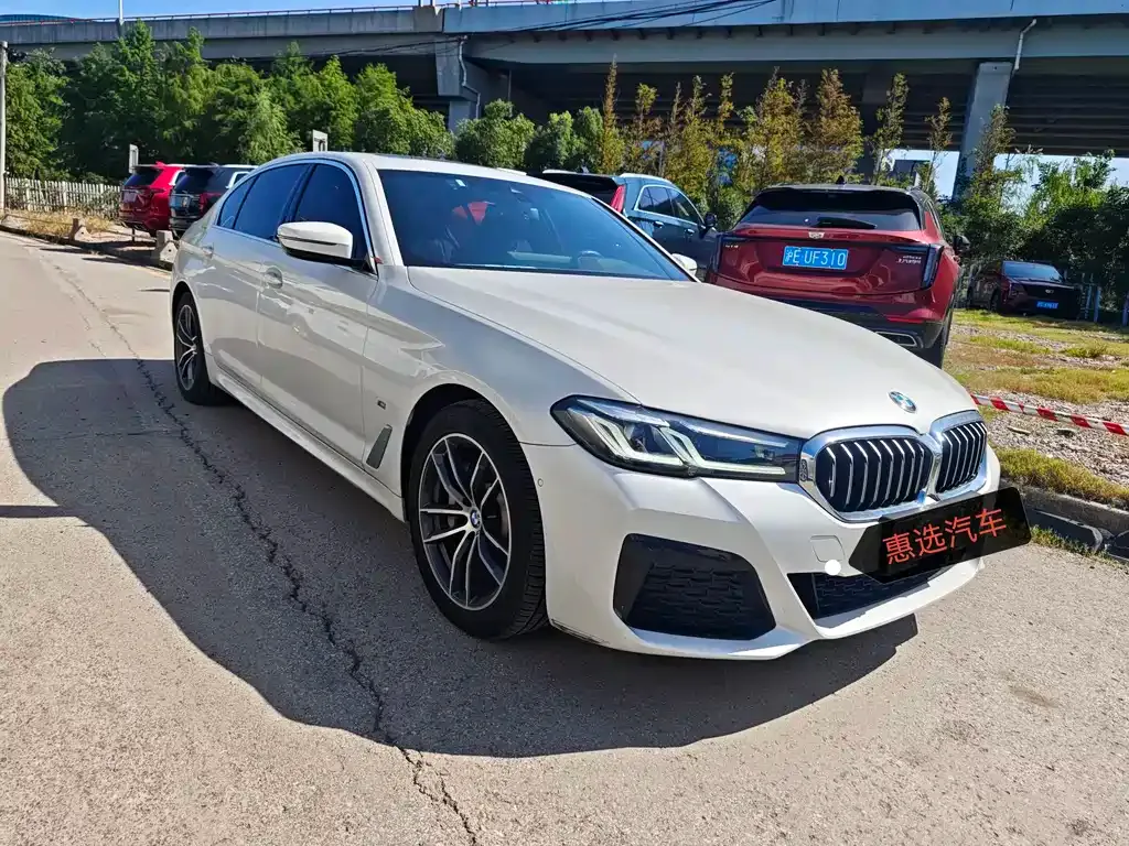 BMW 5 Series New Energy 2021 из CN, фото 3