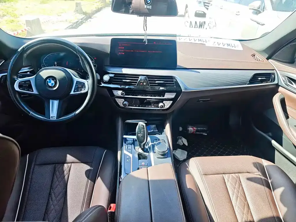 BMW 5 Series New Energy 2021 из CN, фото 6