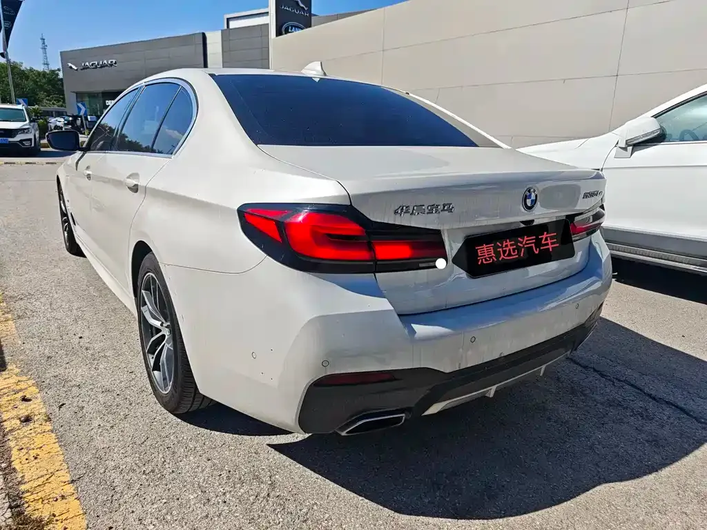 BMW 5 Series New Energy 2021 из CN, фото 9