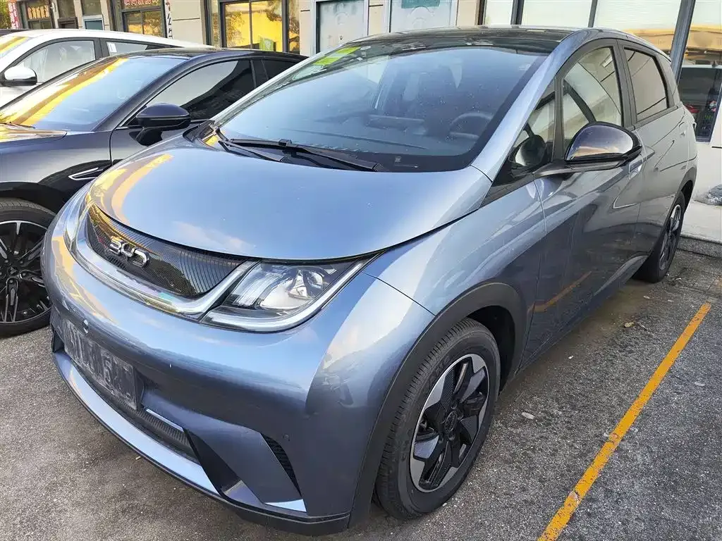 BYD Dolphin 2024 из CN, фото 2