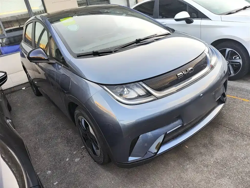 BYD Dolphin 2024 из CN, фото 4