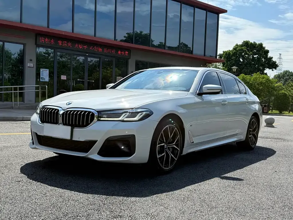 BMW 5 Series 2022 из CN, фото 1