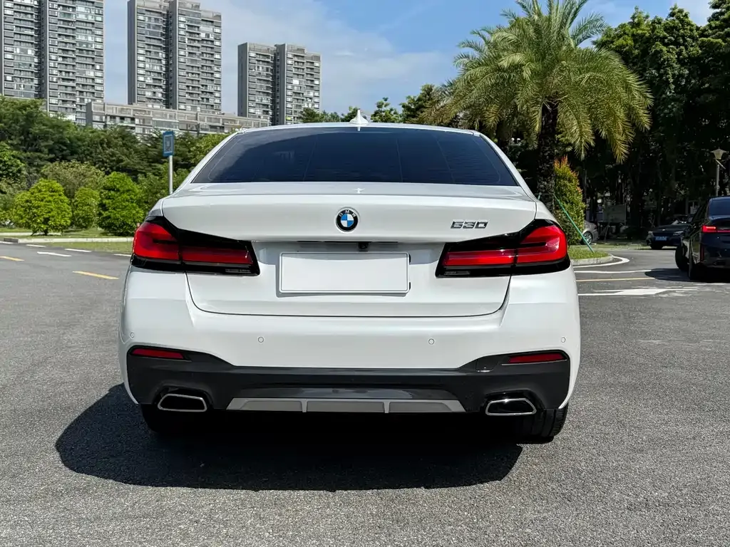 BMW 5 Series 2022 из CN, фото 10