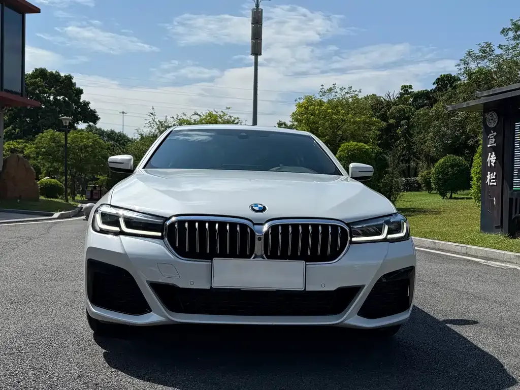 BMW 5 Series 2022 из CN, фото 2