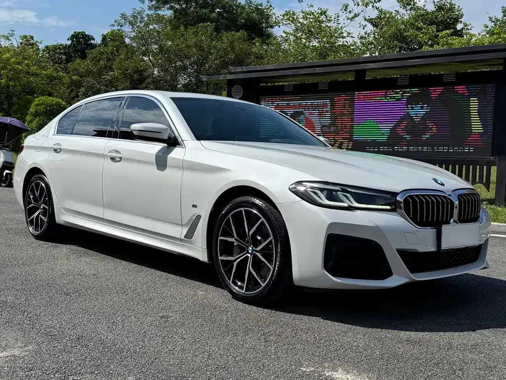 BMW 5 Series 2022 из CN, фото 3