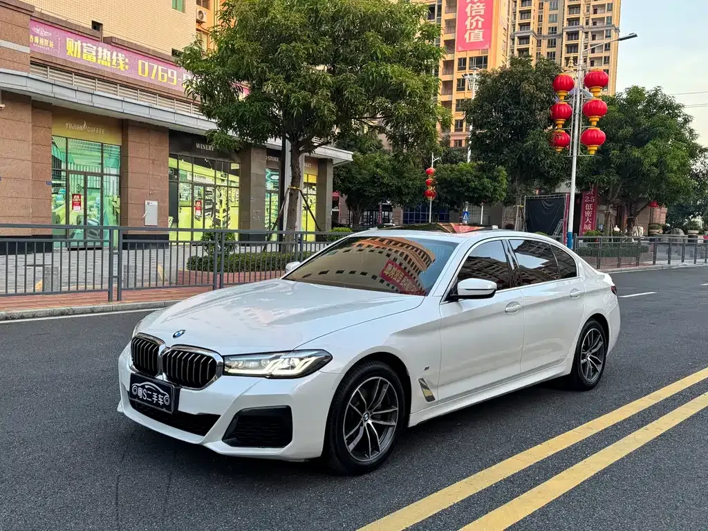 BMW 5 Series 2021 из CN, фото 1