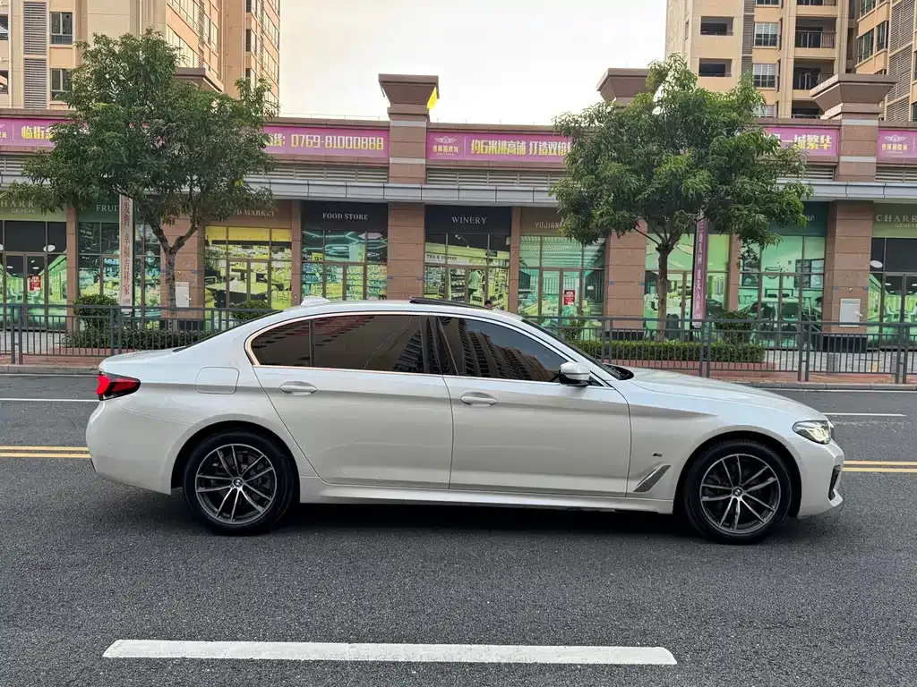 BMW 5 Series 2021 из CN, фото 10