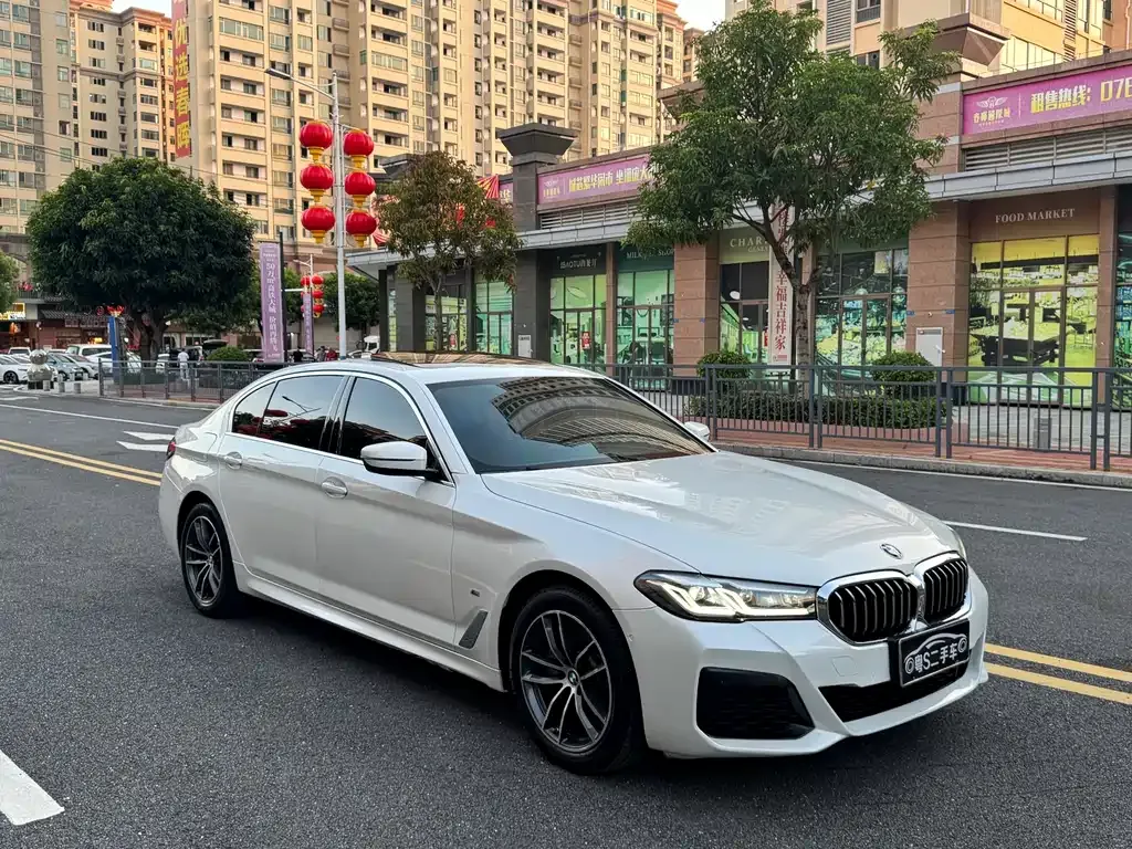 BMW 5 Series 2021 из CN, фото 2